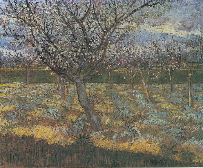Vincent Van Gogh Flowering orchard with apricot-trees France oil painting art